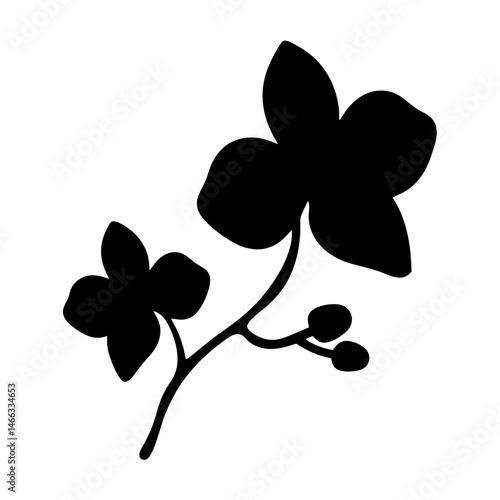 Black and white illustration of orchid , flower silhouette vector designs.