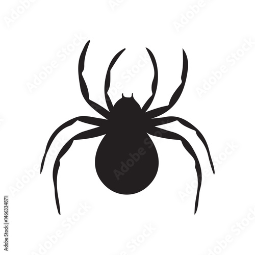 black spider vector illustration