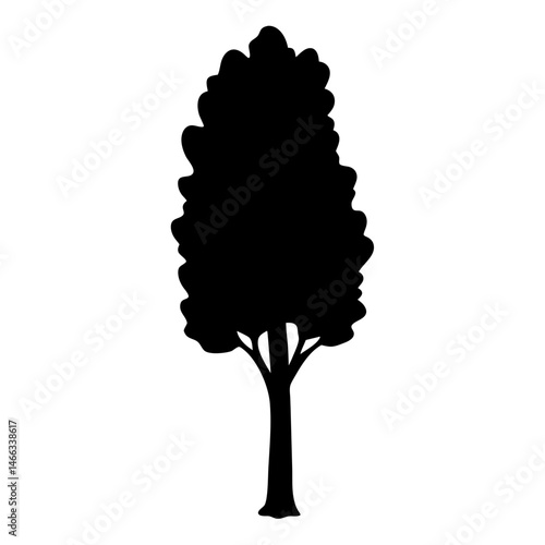 poplar tree vector silhouette icon, black and white illustration of trees.