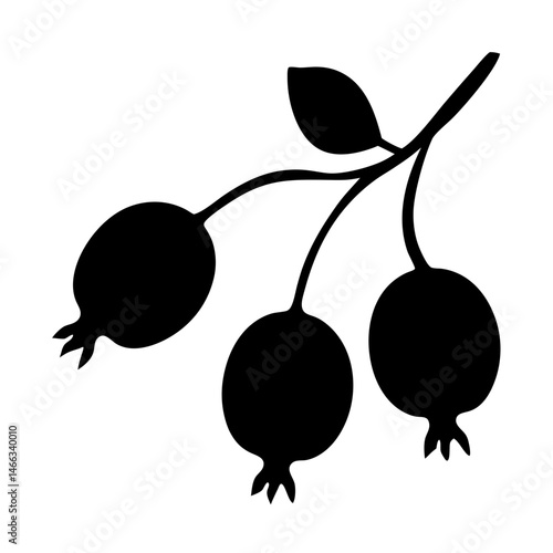 rosehip vector silhouette icon, black and white illustration of fruits.