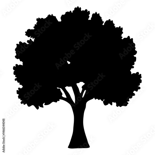 sycamore tree vector silhouette icon, black and white illustration of trees.