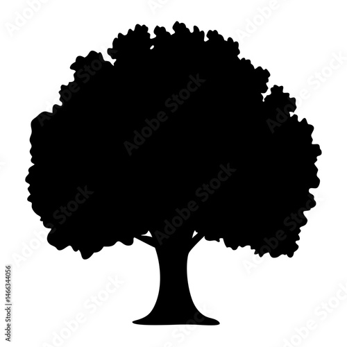 sycamore tree vector silhouette icon, black and white illustration of trees.