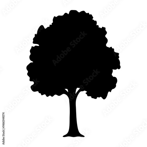 sycamore tree vector silhouette icon, black and white illustration of trees.