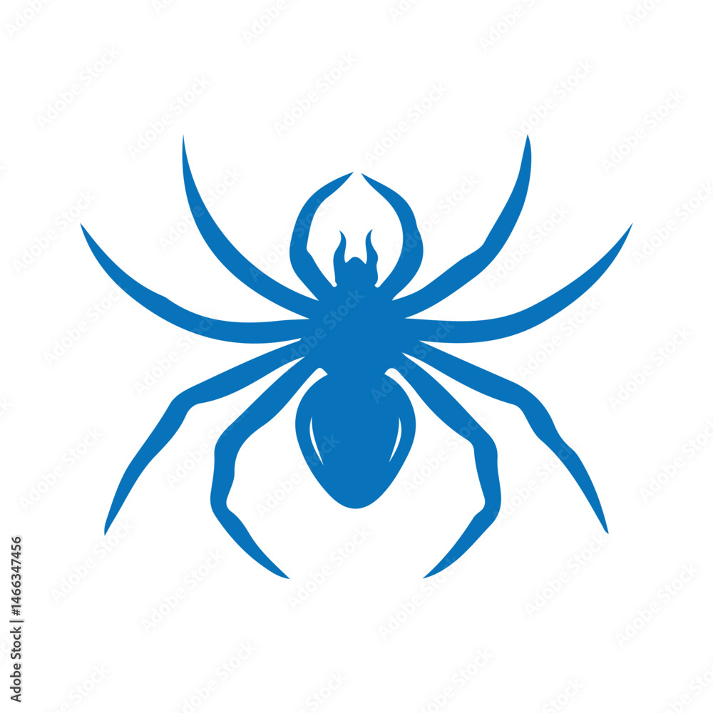 spider on a white background spider on a white background
