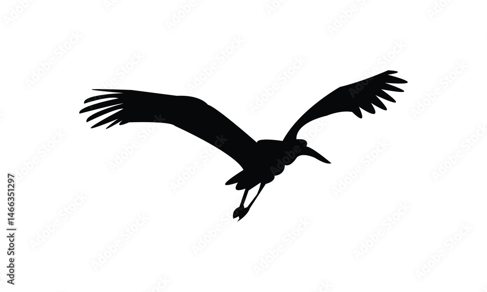 Obraz premium Flying African woolly necked stork bird Silhouette Design And Vector Illustration. 