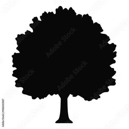 ash tree vector silhouette icon, black and white illustration of trees.