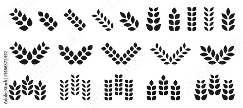 Wheat icon set. Black barley spike or corn ear symbol