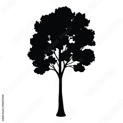 birch tree vector silhouette icon, black and white illustration of trees.