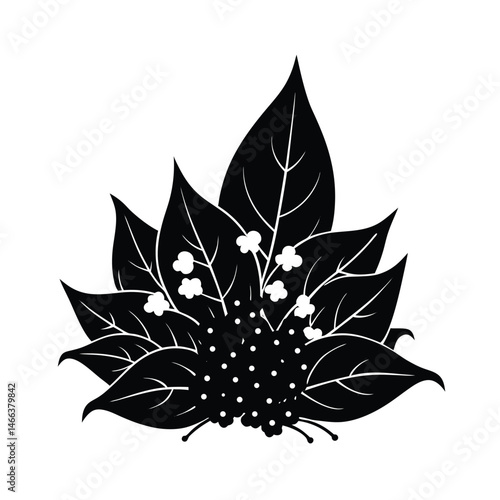 autumn leaves lily valley bloom