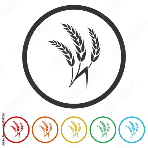 Wheat and rye ears icon. Set icons in color circle buttons