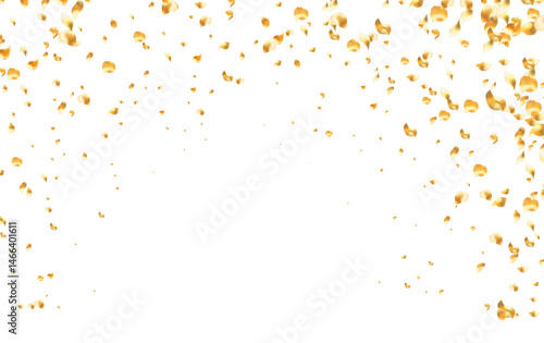 Golden rose petals falling motion , beautiful rose petal greeting card design, Love, romance, floral spring season