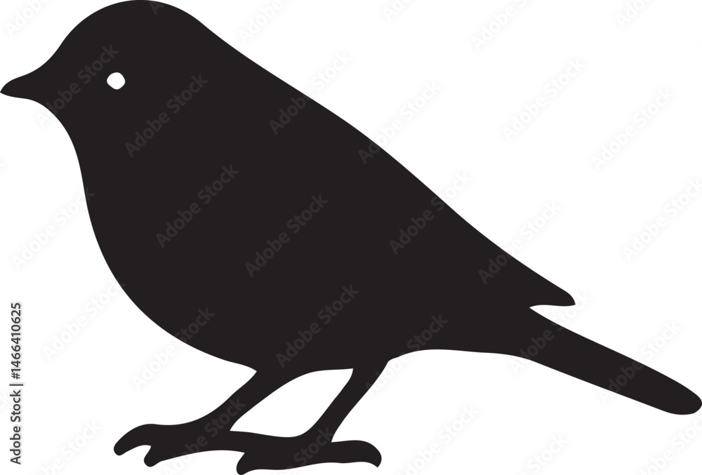 Fototapeta premium bird silhouette