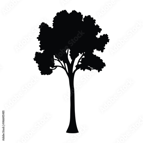 cottonwood tree vector silhouette icon, black and white illustration of trees.