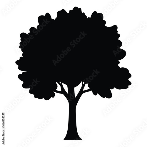 elm tree vector silhouette icon, black and white illustration of trees.