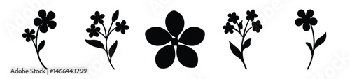 Black and white illustration of forget me not , flower silhouette vector designs.