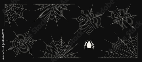 Collection of hand drawn cobweb with spider. Outline doodle on dark background for decoration. Halloween spooky net with tangled hanging insects. Vector illustration 