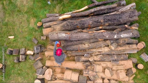 Lumberjack with a chainsaw cutting trees in the forest. Preparing firewood for winter. Top down view. Aerial view from drone
