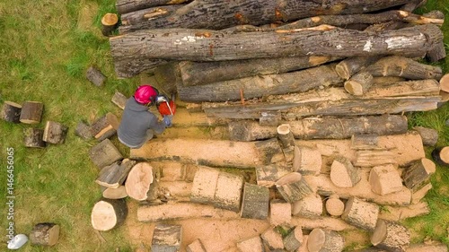 Lumberjack with a chainsaw cutting trees in the forest. Preparing firewood for winter. Top down view. Aerial view from drone
