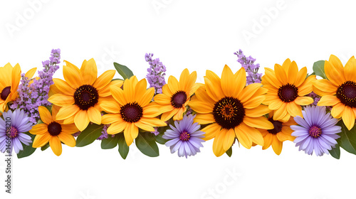 Photorealistic render of a floral border made with vibrant yellow sunflowers and contrasting purple Aster flowers, dynamic color combination, isolated on Transparent Background