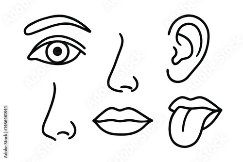 Five senses icons in minimal line style Vector