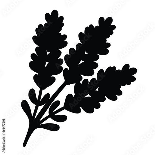 Black and white illustration of lavender , flower silhouette vector designs.