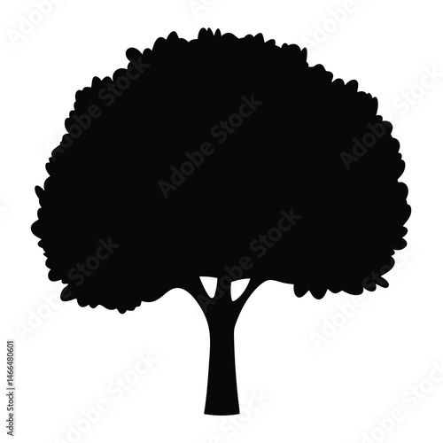 linden tree vector silhouette icon, black and white illustration of trees.
