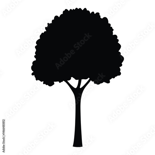 linden tree vector silhouette icon, black and white illustration of trees.