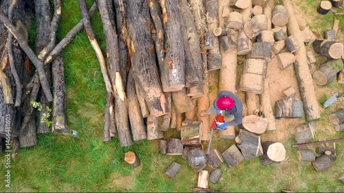 Lumberjack with a chainsaw cutting trees in the forest. Preparing firewood for winter. Top down view. Aerial view from drone
