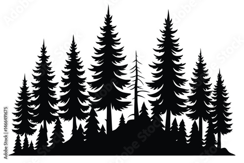 An illustration of several tall pine tree silhouettes stands together in a dense forest