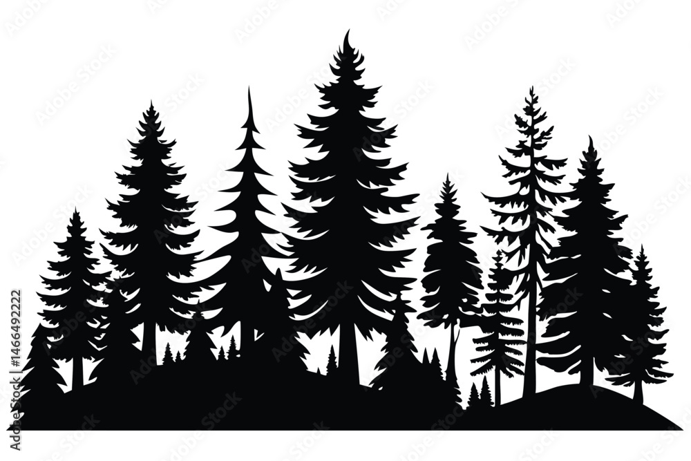 Obraz premium Evergreen fir trees silhouette creates a woodland forest against a plain background