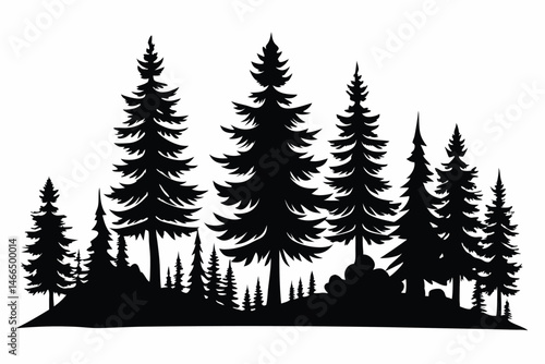 Several tall pine trees form a dense, stark silhouette against a white landscape today