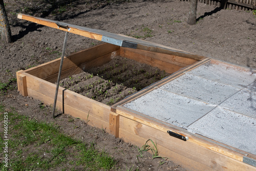 organic farming. Inside the wooden structure, young seedlings.
