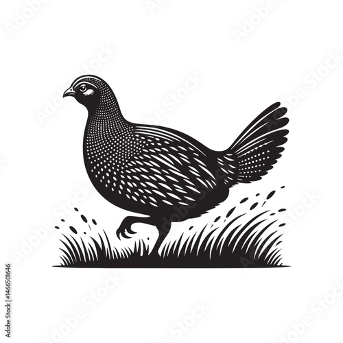 Bold Francolin Bird Vector Silhouette – Striking Ground-Dweller, Sharp Call, and Agile Forager Captured in Elegant Minimalist Wildlife Art.