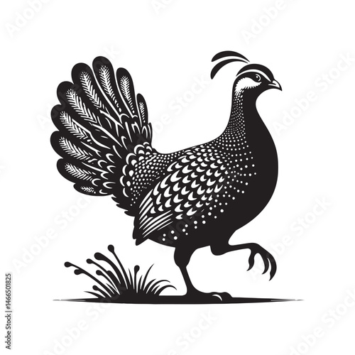 Bold Francolin Bird Vector Silhouette – Striking Ground-Dweller, Sharp Call, and Agile Forager Captured in Elegant Minimalist Wildlife Art.