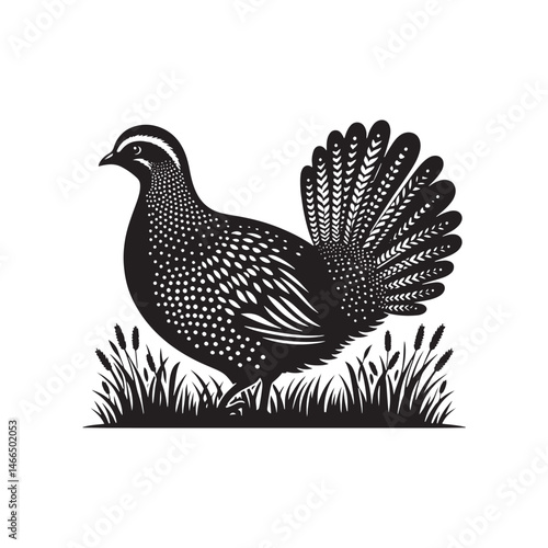 Bold Francolin Bird Vector Silhouette – Striking Ground-Dweller, Sharp Call, and Agile Forager Captured in Elegant Minimalist Wildlife Art.