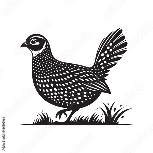 Bold Francolin Bird Vector Silhouette – Striking Ground-Dweller, Sharp Call, and Agile Forager Captured in Elegant Minimalist Wildlife Art.