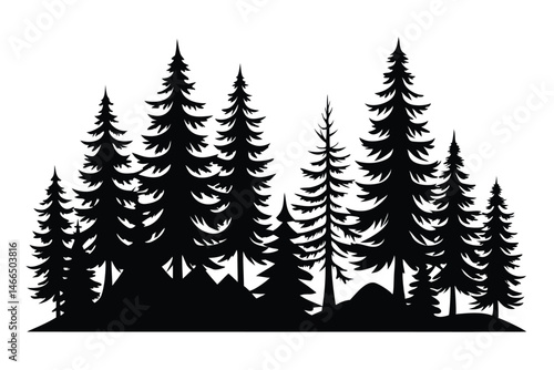 Silhouette of several dark conifers towers over the rugged terrain in the forest