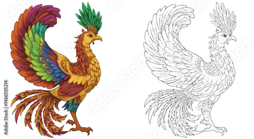 Vibrant Phoenix and Sketch: A beautifully illustrated phoenix with multicolored plumage stands proudly next to a detailed sketch of the same magnificent bird.