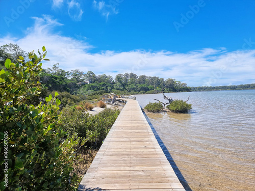 Boardwalk on the Shore of Merimbula Lake in New South Wales Australia. A wooden walkway through remnant mangrove trees