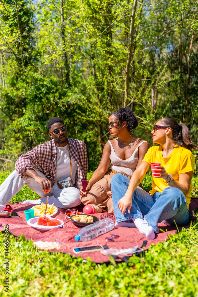 Fototapeta premium Friends enjoying sunny picnic in the park, eating and chatting together
