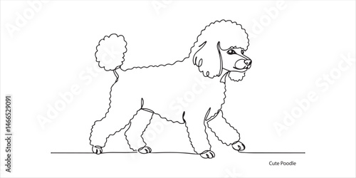 Cute Poodle walking, side view continuous single line art drawing sketch on white background