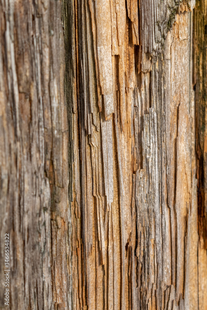 Old textured and weathered wooden background Old textured and weathered wooden background
