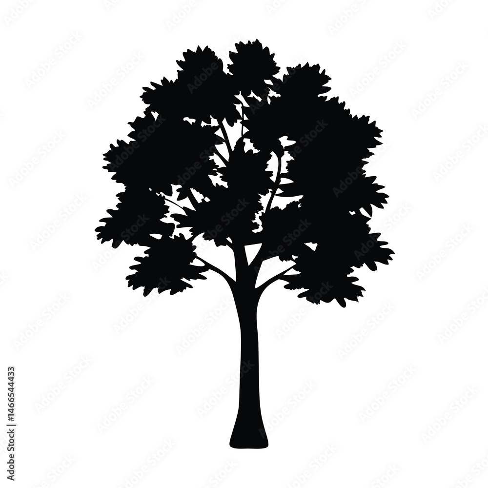 Fototapeta premium sassafras tree vector silhouette icon, black and white illustration of trees.