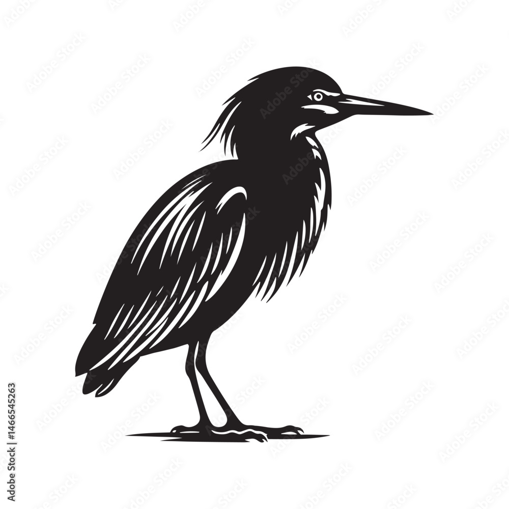 Fototapeta premium Green Heron Vector Silhouette, Elegant Wading Bird Design, Detailed Avian Outline, Nature-Inspired Heron Art, Quiet Water bird Illustration.