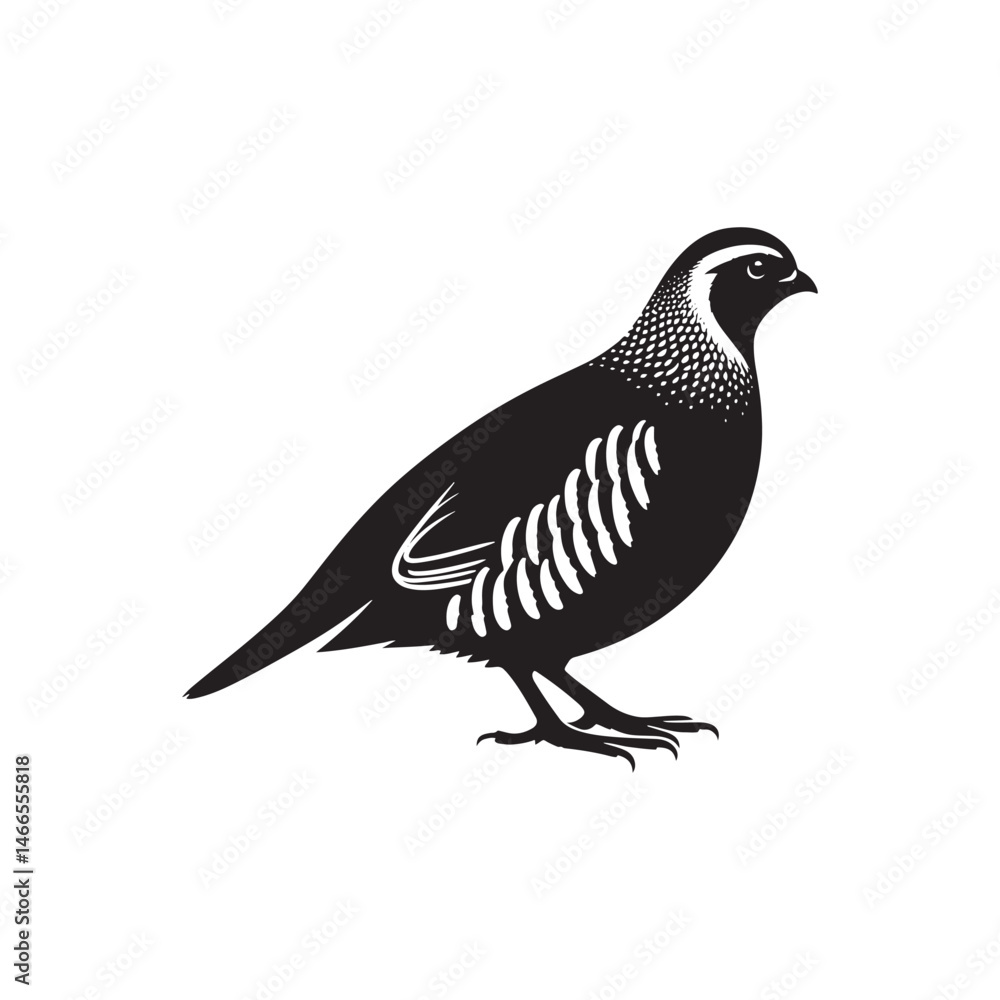 Grey Partridge Vector Silhouette, Detailed Ground Bird Design, Nature-Inspired Wildlife Art, Elegant Avian Outline, Rustic Bird Illustration.
Grey Partridge Vector Silhouette, Detailed Ground Bird Design, Nature-Inspired Wildlife Art, Elegant Avian Outline, Rustic Bird Illustration.