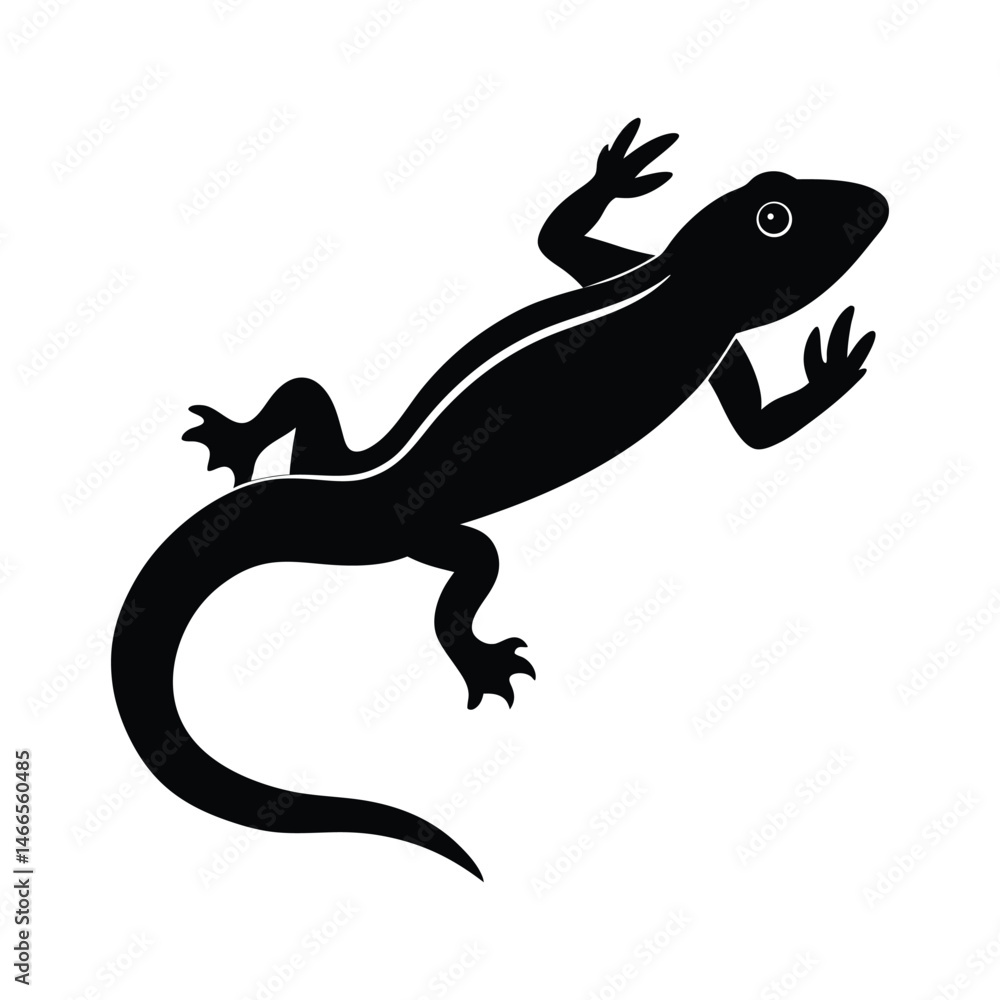 Naklejka premium Jumping Salamander Dynamic Vector Silhouette