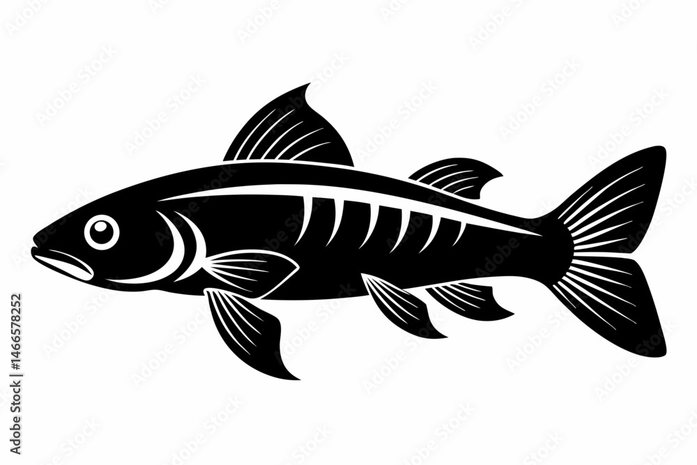 killifish sihouette black vector killifish sihouette black vector