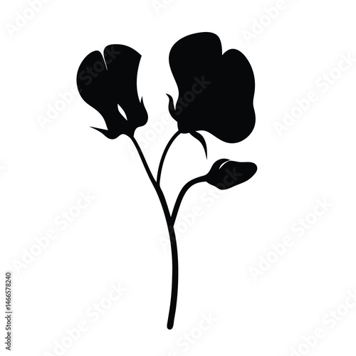 Black and white illustration of sweet pea , flower silhouette vector designs.