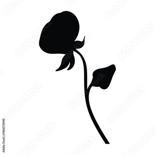 Black and white illustration of sweet pea , flower silhouette vector designs.