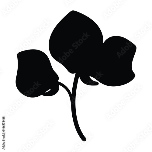 Black and white illustration of sweet pea , flower silhouette vector designs.
